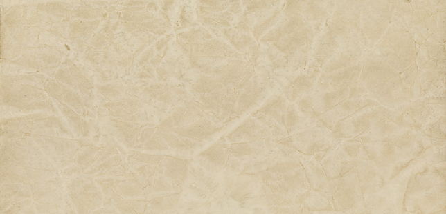 Texas Quail Forever Website.png