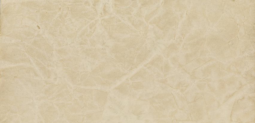 Texas Quail Forever Website.png
