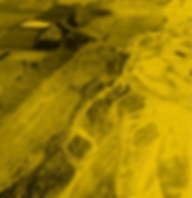 Lowes Cutting UTV Circuit