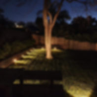 Landscape lighting.jpg