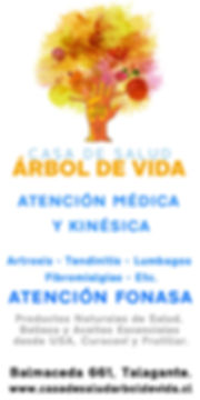 CLEAR_Pub_Web_Half Page_Árbol de Vida.jp