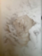 LostLeonardo3.jpg