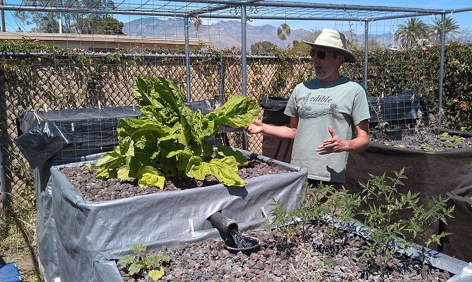 Aquaponics in the Tucson Community | EcoGro