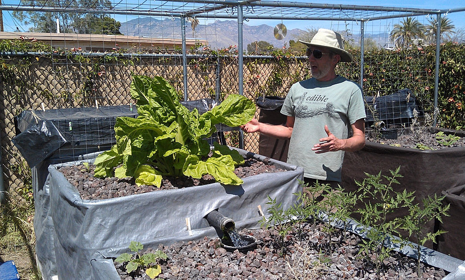 Aquaponics in the Tucson Community | EcoGro