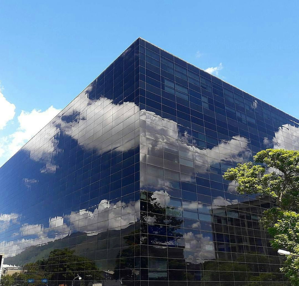 Tu Oasis en la ciudad Cubo Negro