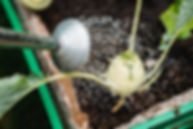 Anne-Fütterer-Photographe-eröffnung-urba