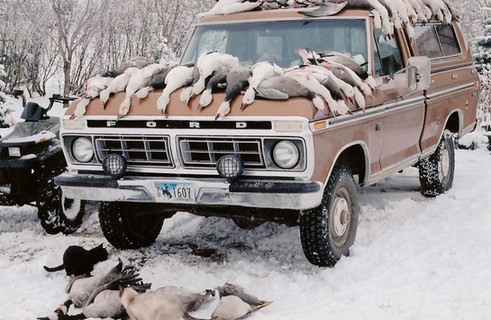 geese.jpg