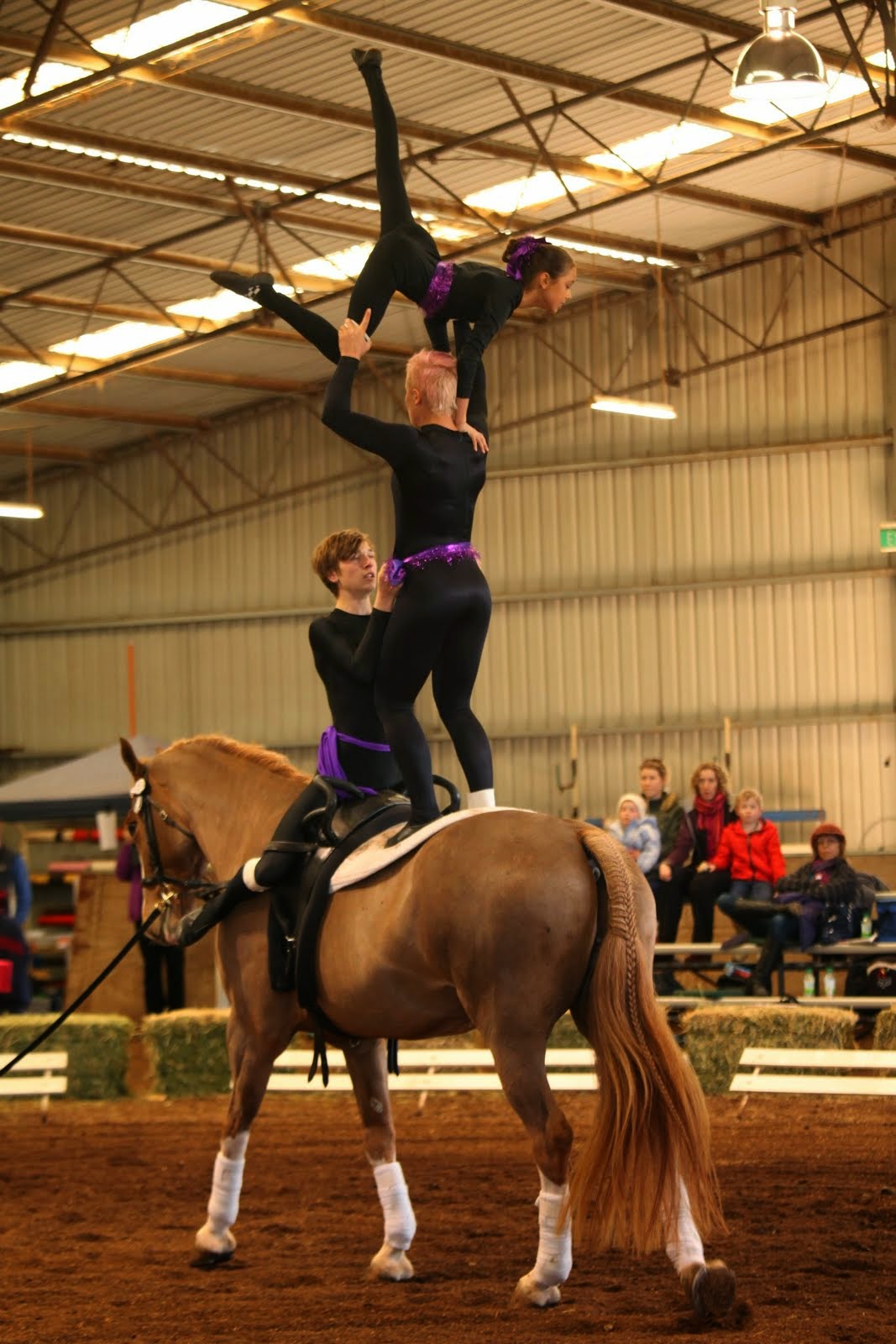 Events equestrianvaulting