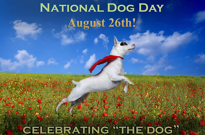 Today Is National Dog Day Laurelwood Animal Hospital
