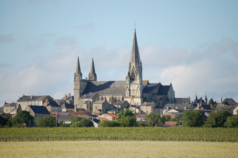 vue collégiale