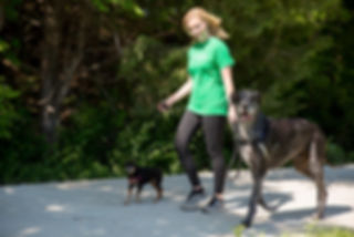 Manhattan, KS professional dog walker with miniature pinscher and great dane.
