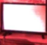 TVInsignia - Version 3.jpeg