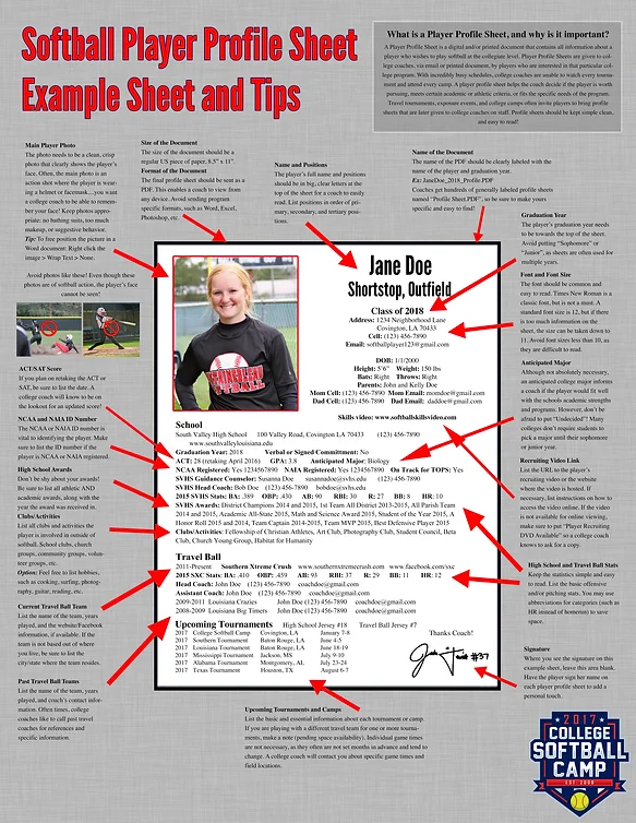 softball player profile template april onthemarch co