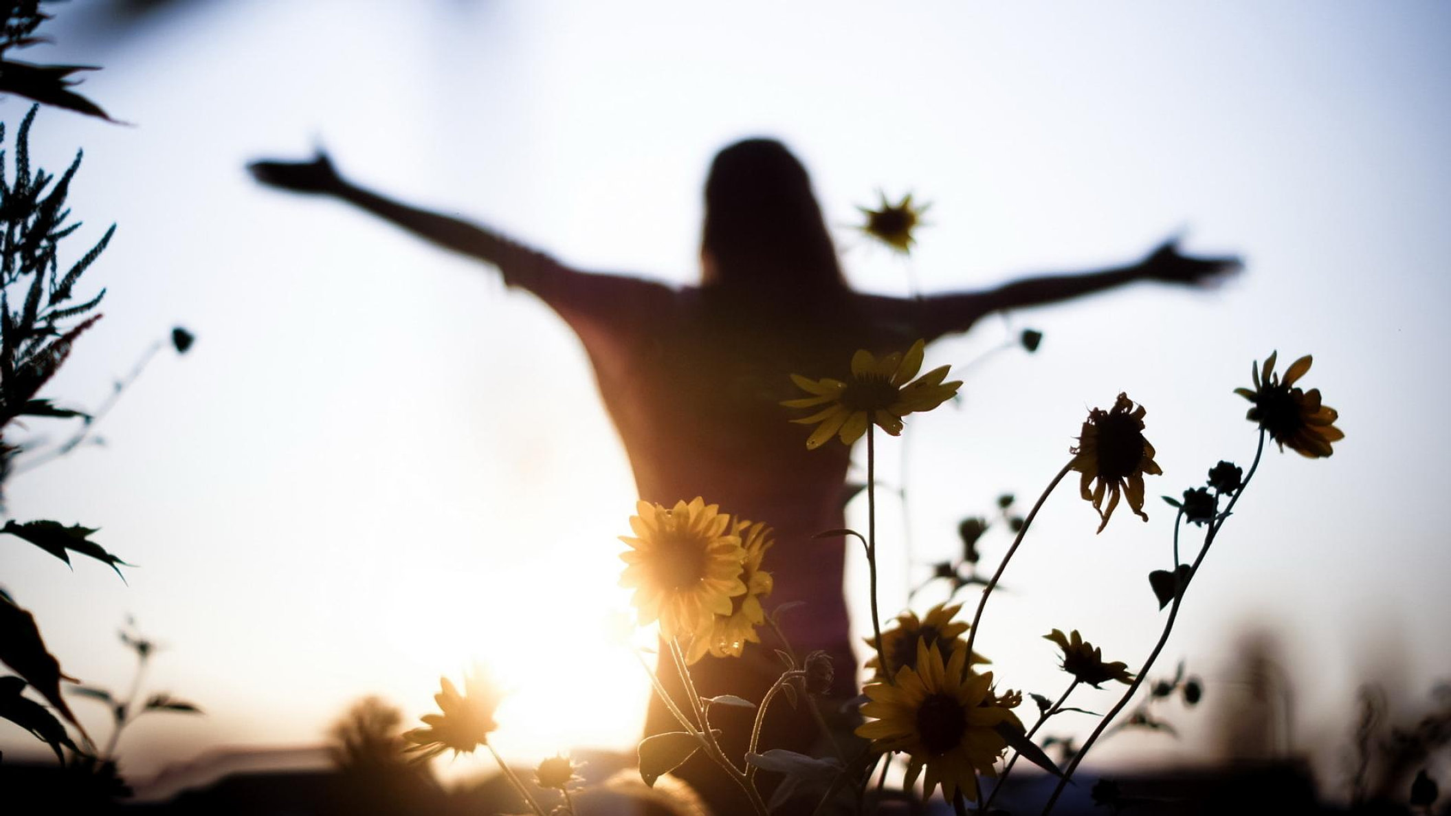 7fab1e_1d29db5ab4964ef396eff143554b1a3e.jpg_srz_2111_1187_85_22_0.50_1.20_0.00_jpg_srz