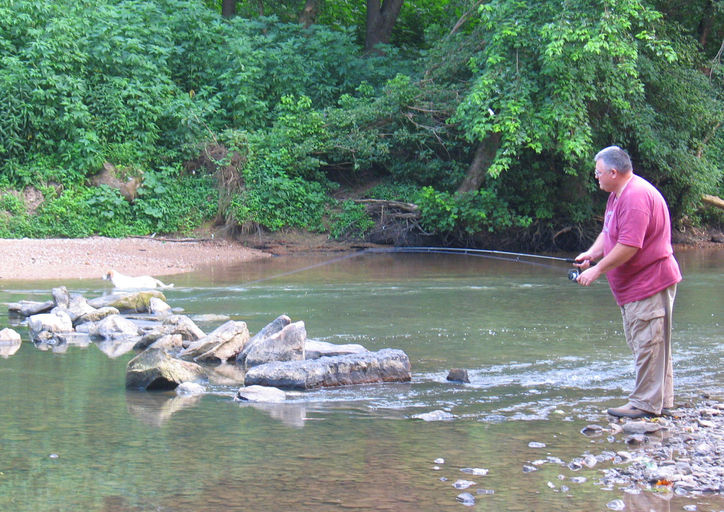 to Livingston, Kentucky Online Rockcastle County Kentucky