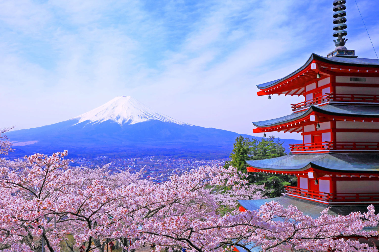 Wholesale SIM AIS Japan