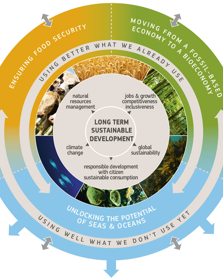 bioeconomy, energy, renewable, agriculture, consumer goods