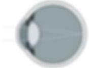 Normal Vision.jpg