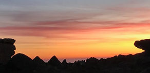 IMG_4853.jpg