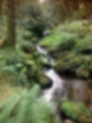 IMG_3491.jpeg