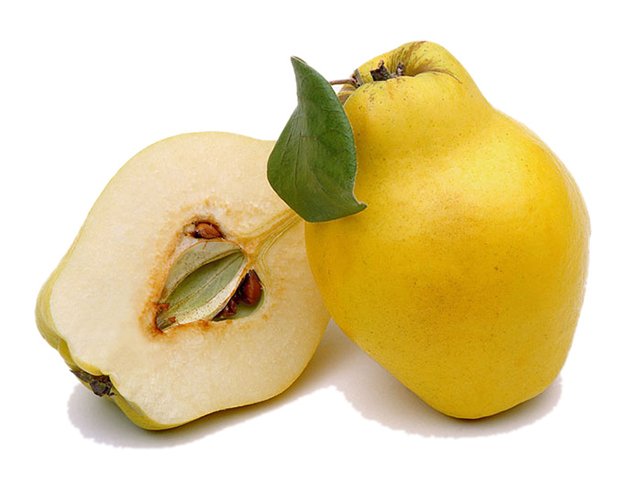 Resultado de imagem para marmelo