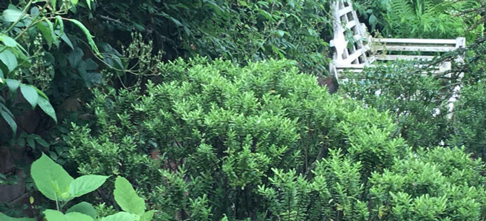 garden_banner_image.cb51391ddbe47ad0bd7e