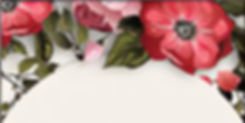 header 2 web.jpg