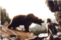 L-ours-41.jpg