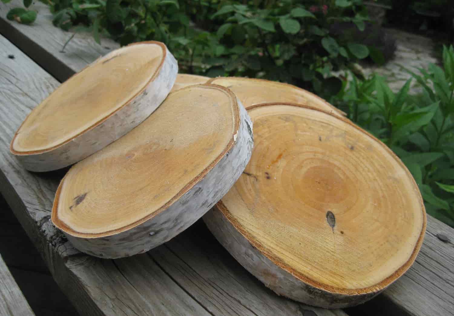 Поделки из дерева береза Поделки из дерева береза