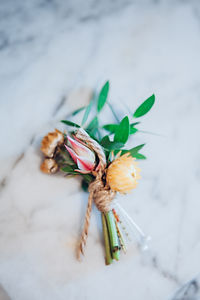 050Stephanie+AlecANCASTERMILLTorontoWedd
