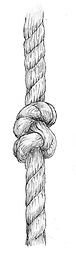 New Images020.jpg