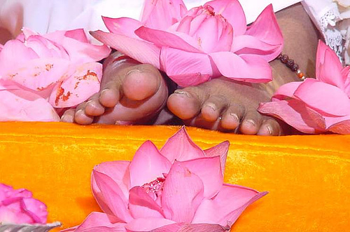 Image result for amritanandamayi holy feet