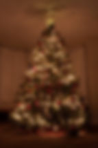 tree.jpg