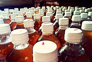 Mật ong Hai Mập - sạch vì sức khỏe cộng đồng! - 1