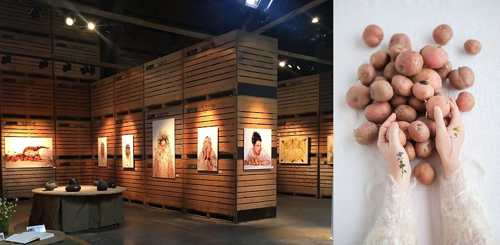fertile soil expo 2