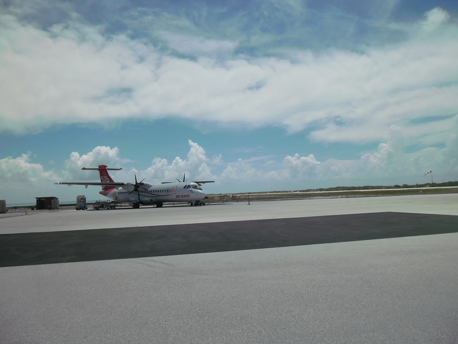 Pitcairn Island probus