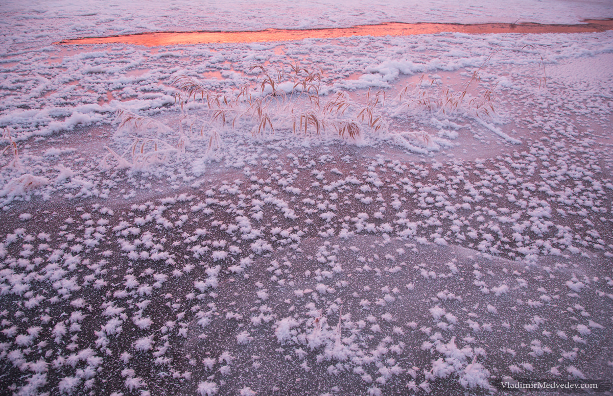 Средняя полоса | vladimirmedvedev