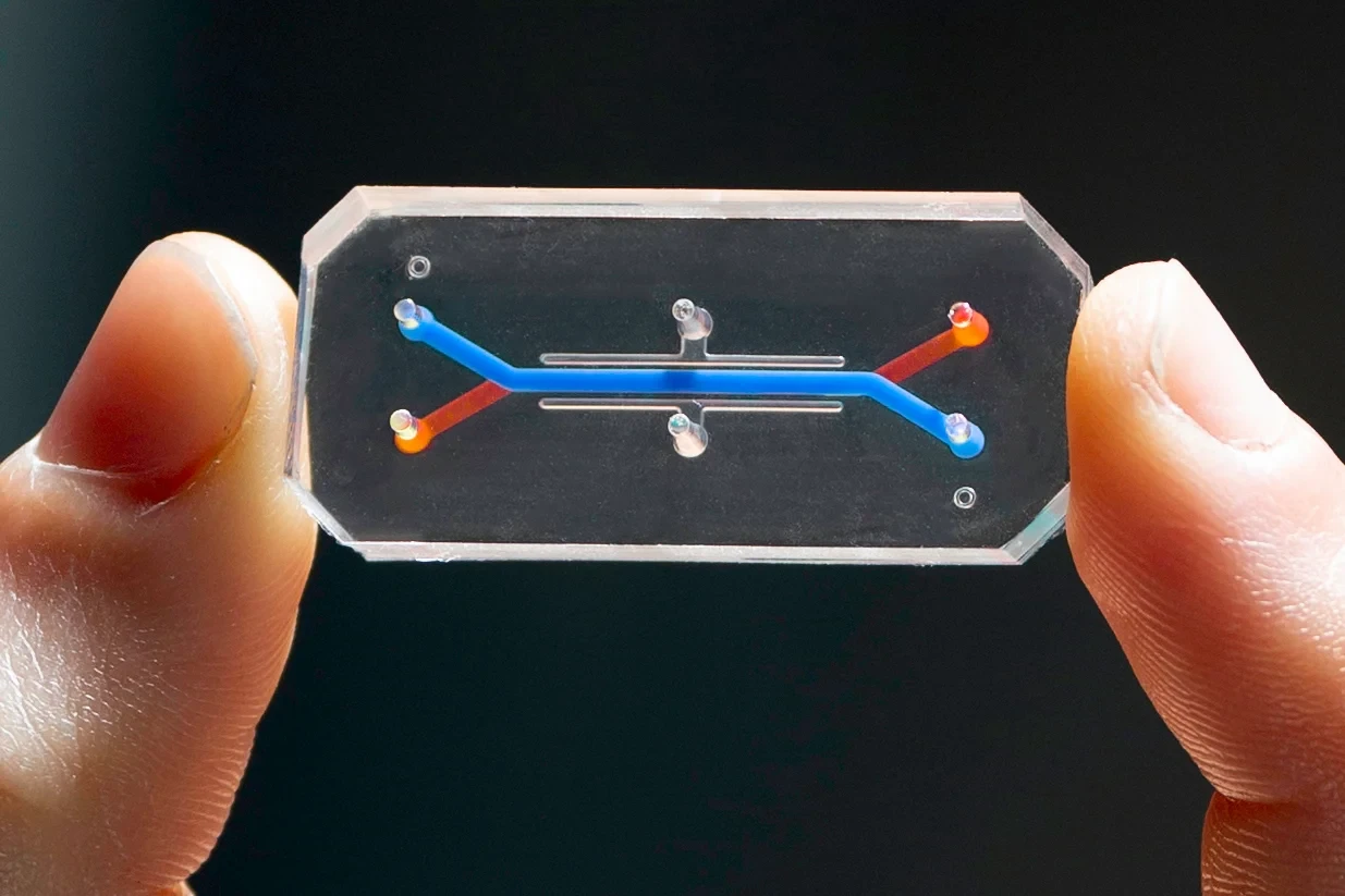 Scientists Have Created World S First Vagina On A Chip