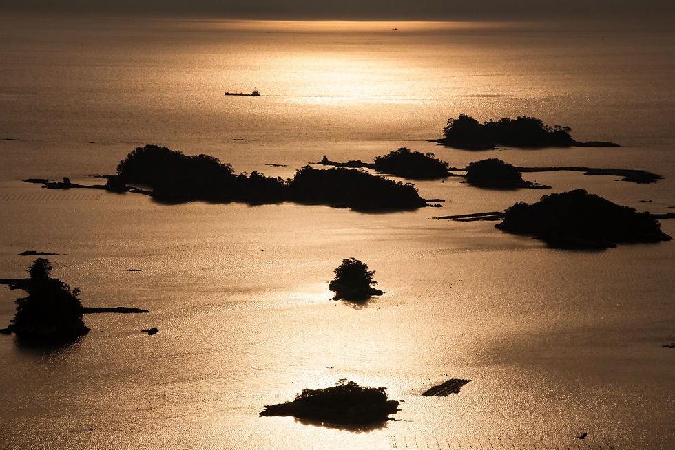 sakaitakeshi-01.JPG