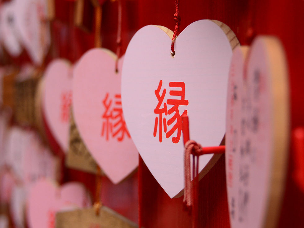 Tsujiuti mikinori_06.jpg