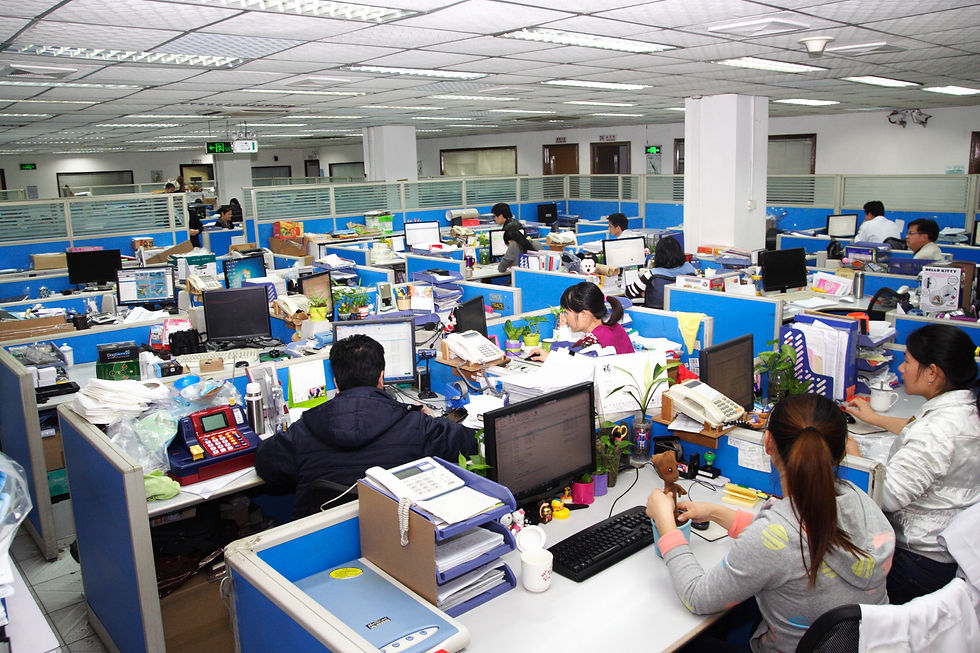 Office Staff