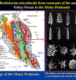 Map of the Malay Penisnsula, with map and drawings of microfossils