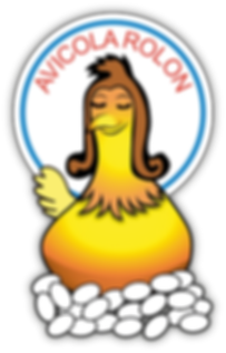 Logo Avicola Rolon.png