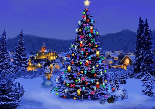Pics Of Christmas Trees festival of christmas trees 2016 | stjohns Pics Of Christmas Trees festival of christmas trees 2016 | stjohns