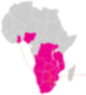 Bambisana Distribution (Pty) Ltd. Sub-Saharan Distribution