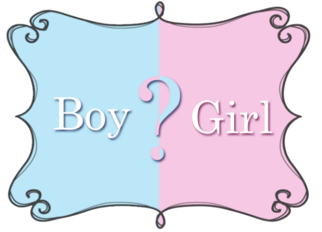 boy or girl sarah swanson blog