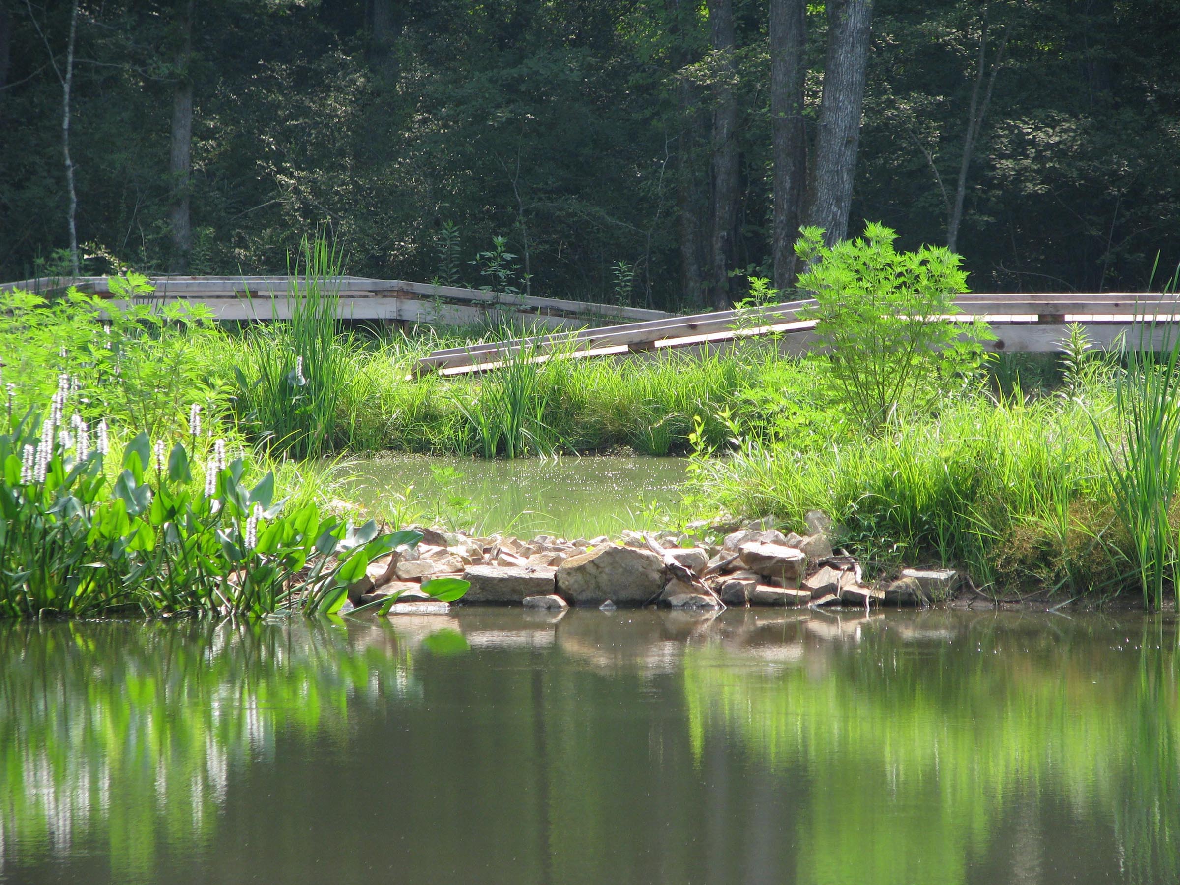 Mountain Landscape Design Ideas Mountain Landscape Design Ideas