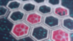 スクリーンショット 2019-05-13 12.10.46.png
