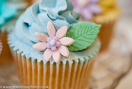 The Empire Cake Company Novelty Cakes Wedding Cakes ...