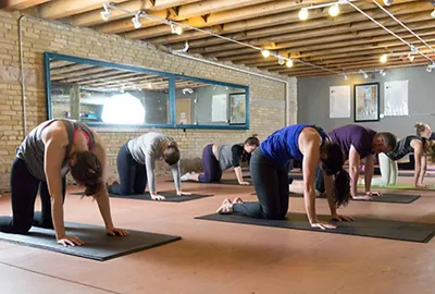 flying squirrel pilates studio